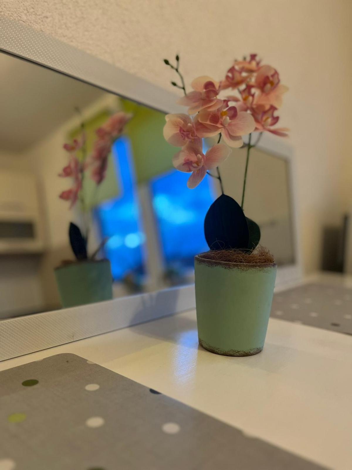 Lovely Apartment In Old Town 400M From City Center Sebilj Сараево Экстерьер фото
