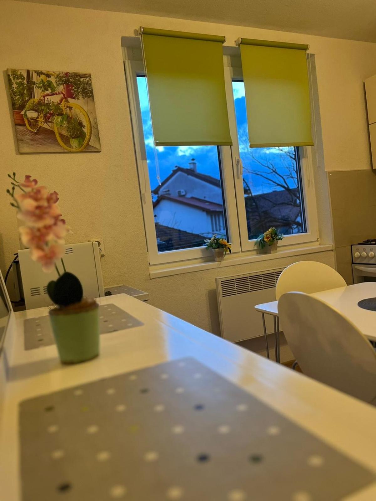 Lovely Apartment In Old Town 400M From City Center Sebilj Сараево Экстерьер фото