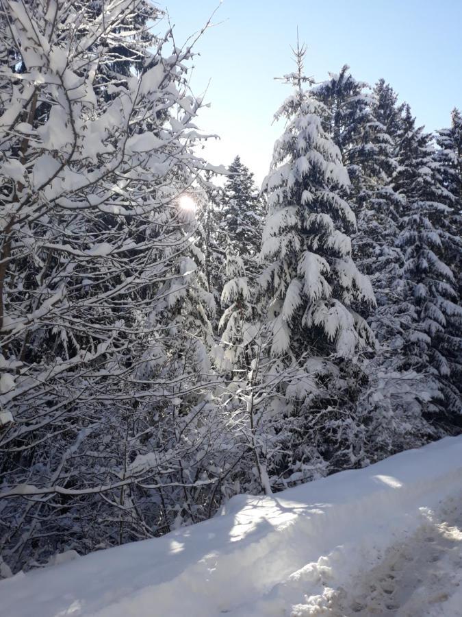 Lovely Apartment In Old Town 400M From City Center Sebilj Сараево Экстерьер фото
